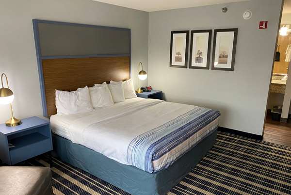 1 King Bed, Non-Smoking