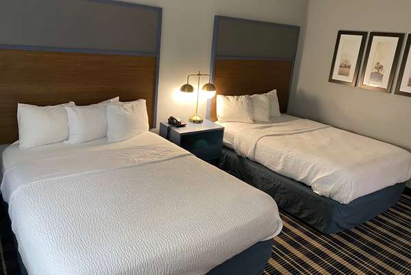 2 Queen Bed, Mobility Accessible Room, Non-Smoking