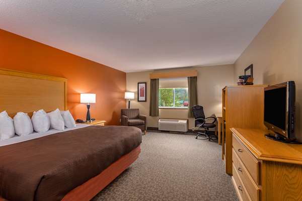 1 King Bed, Mobility Accessible Room, Non-Smoking