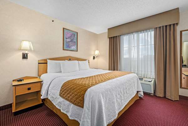 1 King Bed, Non-Smoking