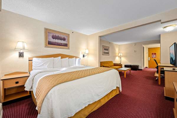 1 King Bed, Suite, Non-Smoking