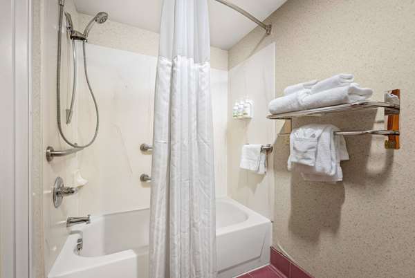 1 King Bed, Deluxe Suite, Non-Smoking