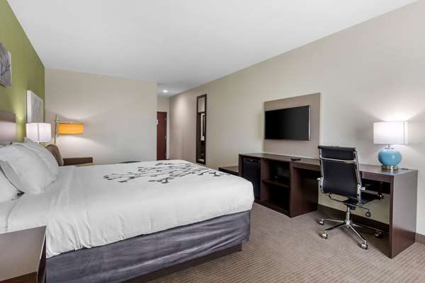 Suite - Sleep Inn Galveston - I-45, Exit 1