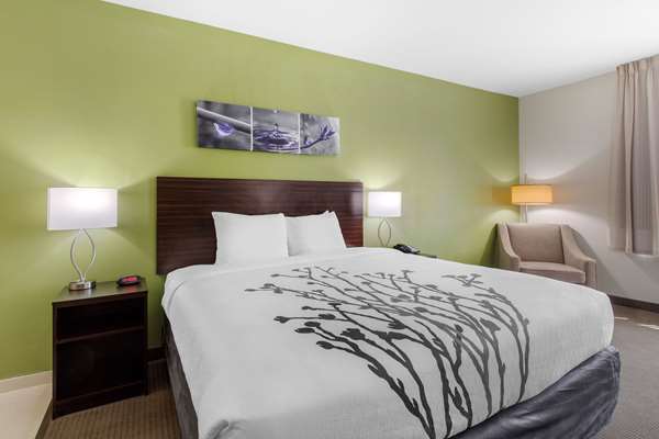 Suite - Sleep Inn Galveston - I-45, Exit 1