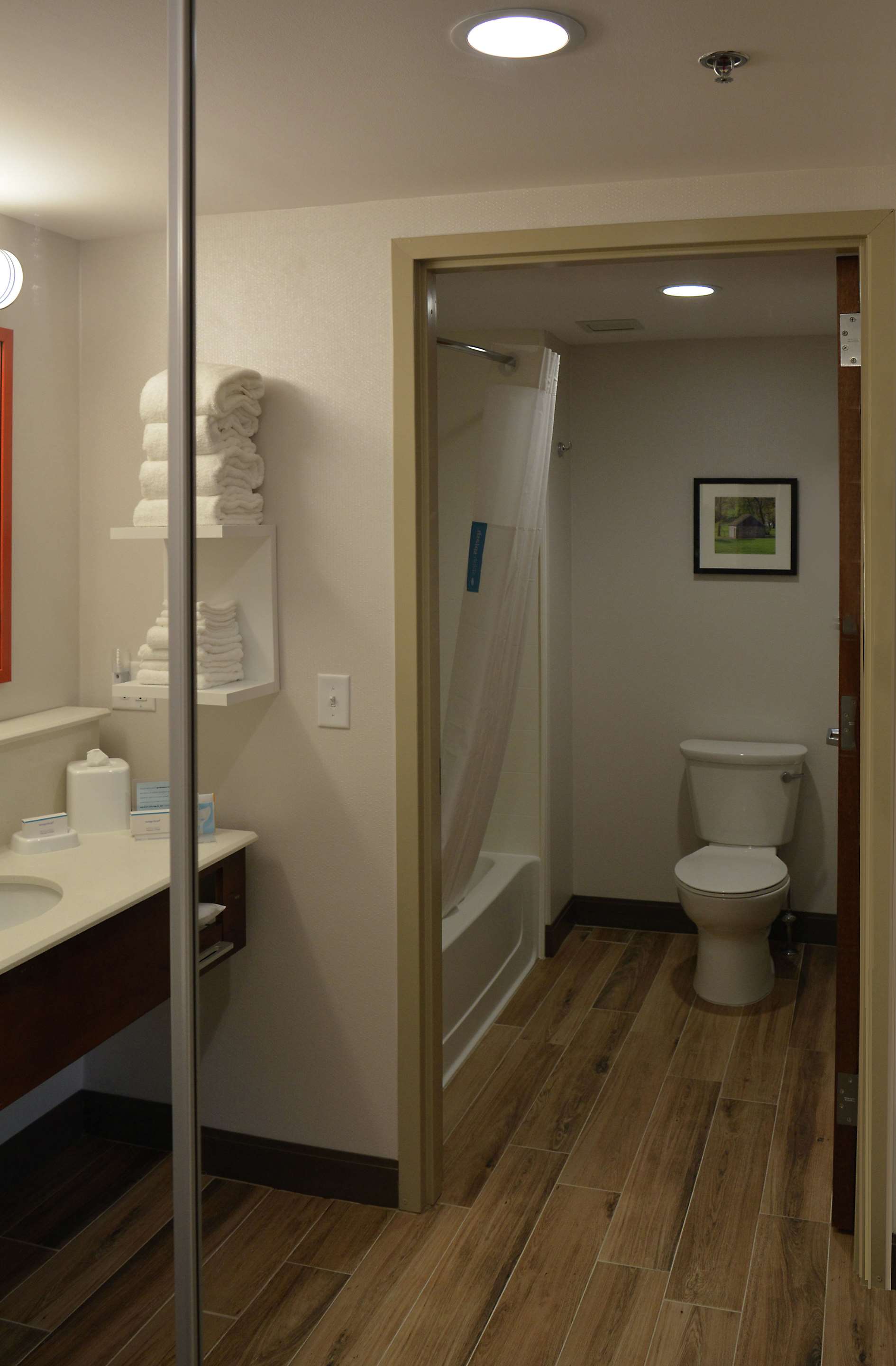 Guest room bath