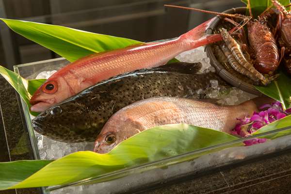 HYATT REGENCY SERAGAKI ISL OKINAWA - Photo 38