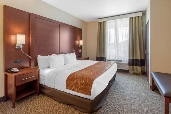 Suite - Comfort Suites Airport Denver