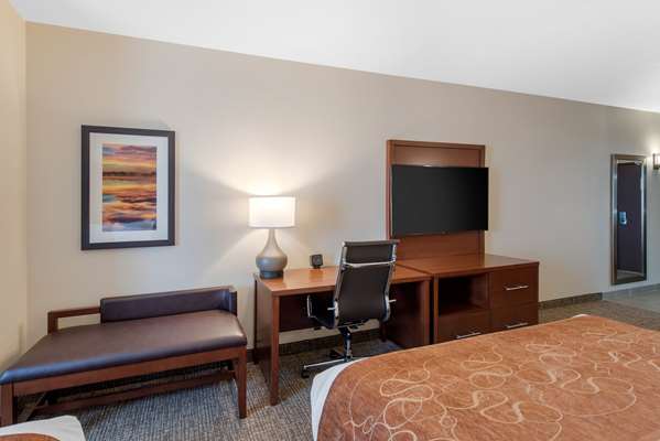 Suite - Comfort Suites Airport Denver