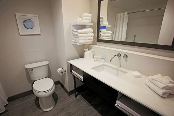  - Hampton Inn & Suites Biltmore Area Asheville - I-26, Exit 33