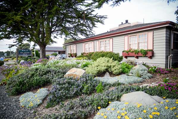 Exterior view - Sea Otter Inn Cambria