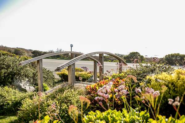 Exterior view - Sea Otter Inn Cambria