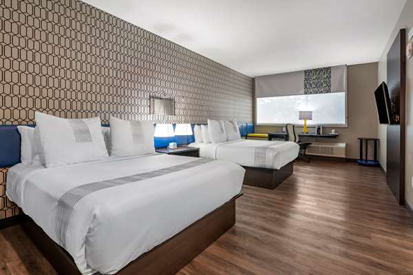  - GLo Best Western Lexington Hotel - I-64 & I-75, Exit 115