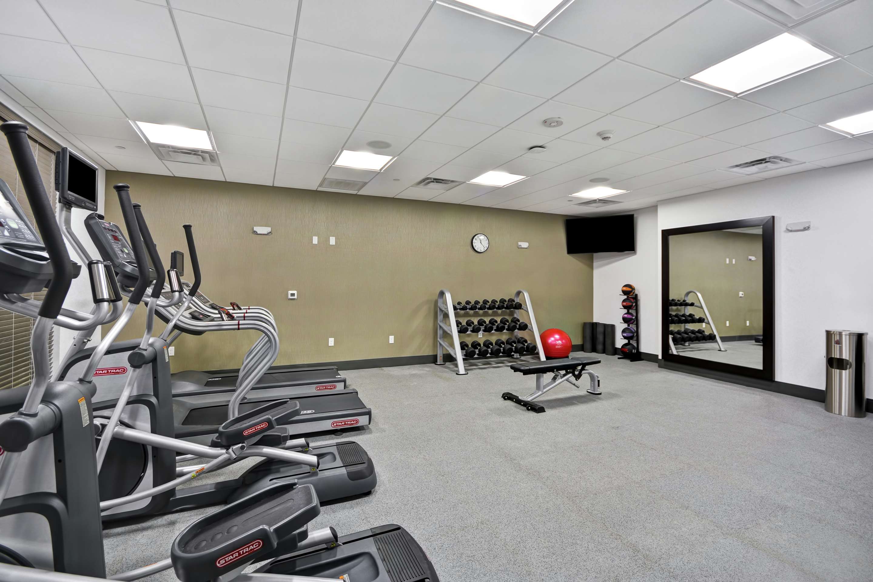 Health club fitness center gym