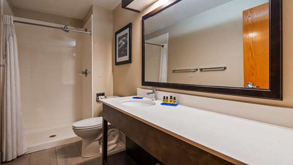  - Best Western Plus Hudson Hotel - I-94, Exit 2
