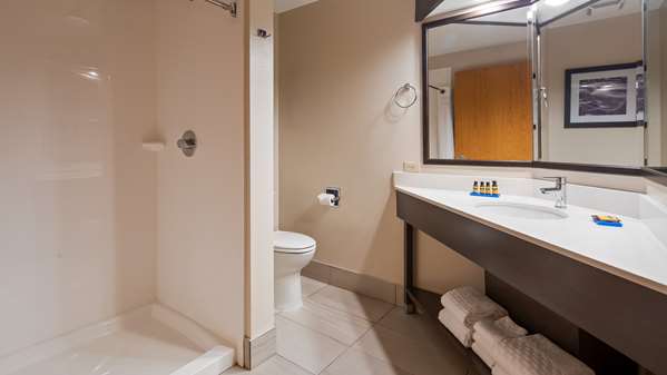  - Best Western Plus Hudson Hotel - I-94, Exit 2