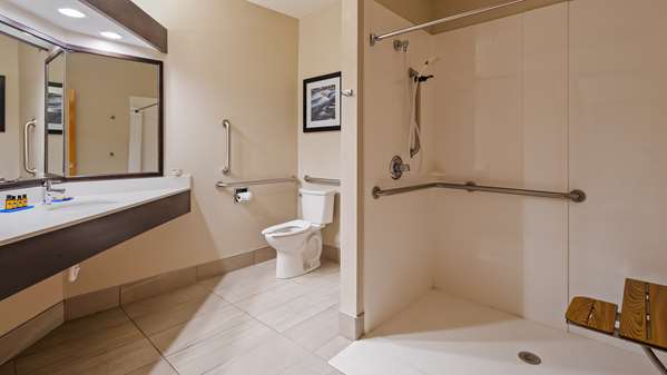  - Best Western Plus Hudson Hotel - I-94, Exit 2