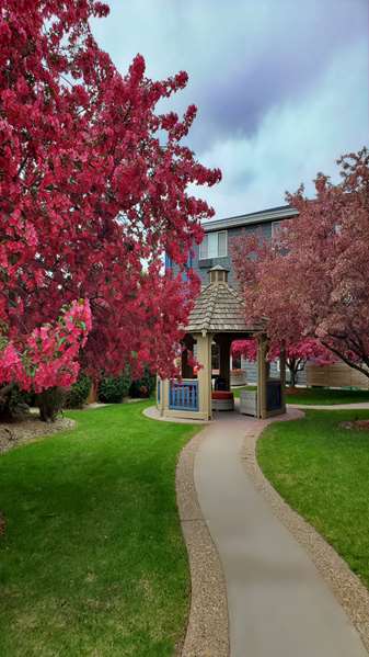 Exterior view - Best Western Plus Hudson Hotel - I-94, Exit 2