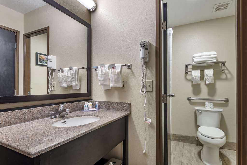 COMFORT INN ASHEVILLE EAST-BLUE RID-guestroom-Guest Room,Bathroom,On-Site.jpg
