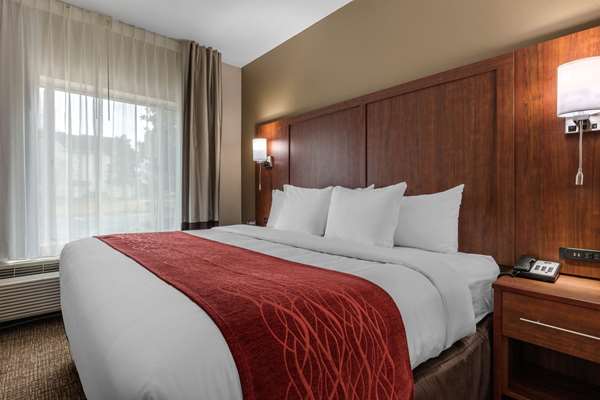  - Comfort Inn & Suites East Montgomery - I-85, Exit 6