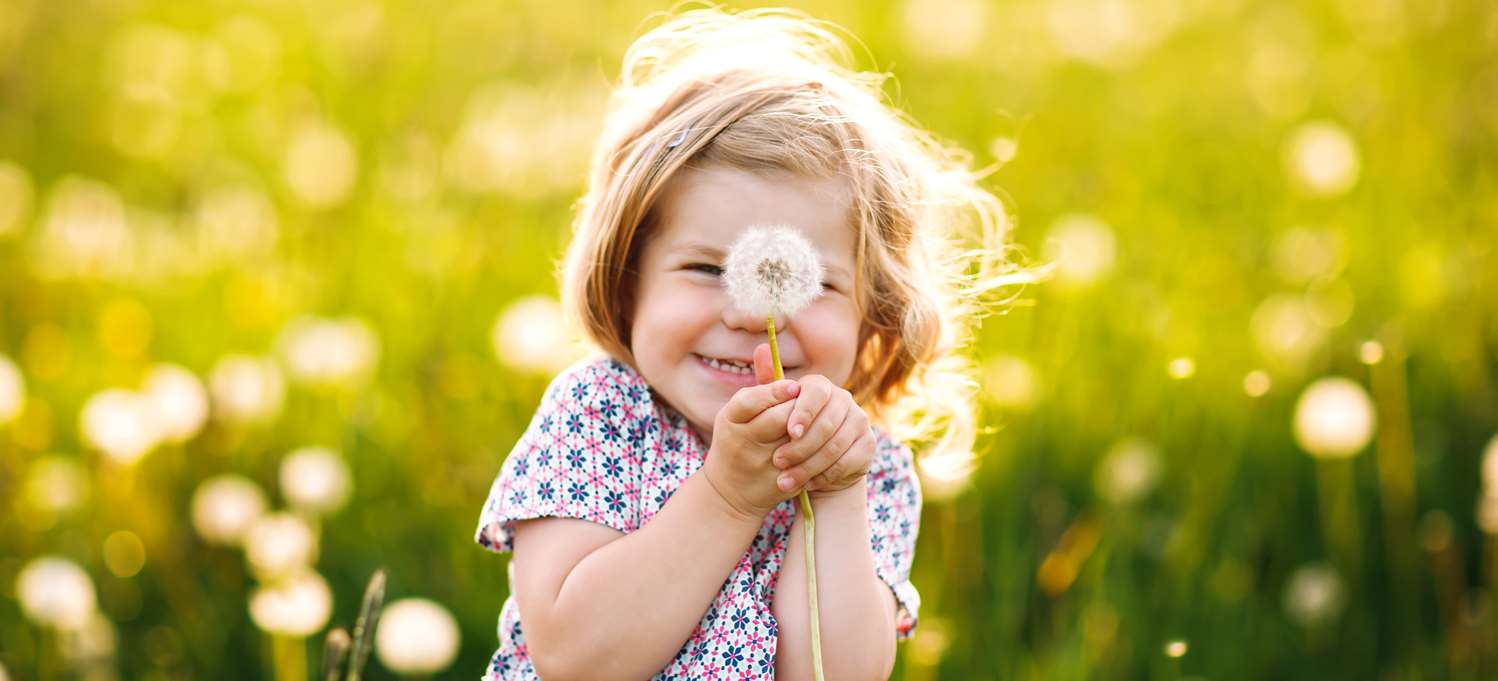 Bloomy Days - Hotel HOTEL CAMPANILE BIARRITZ