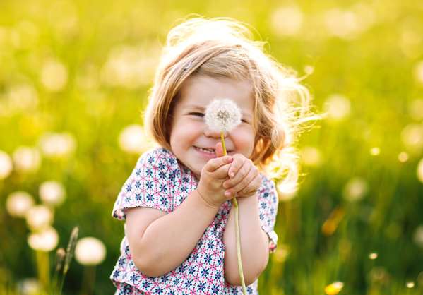 Bloomy  Days - Hôtel HOTEL CAMPANILE BIARRITZ