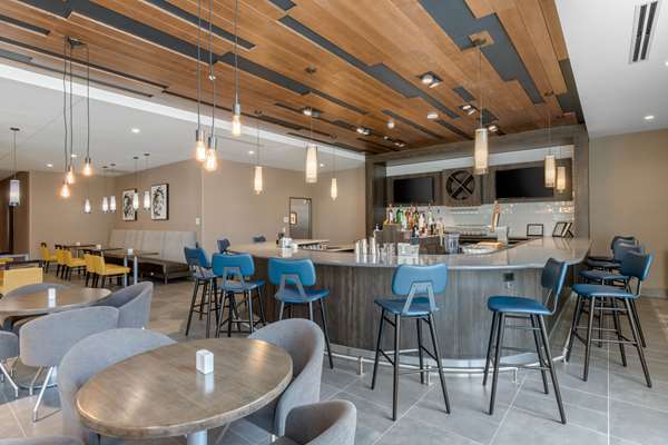 Bar - Cambria Hotel Mount Pleasant