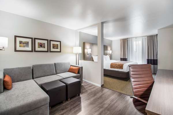 Suite - Comfort Suites Columbia