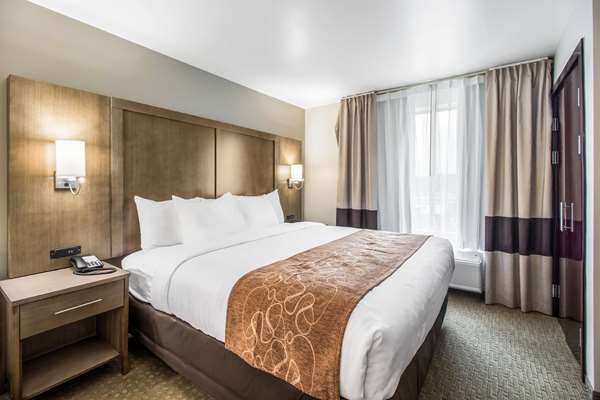 Suite - Comfort Suites Columbia