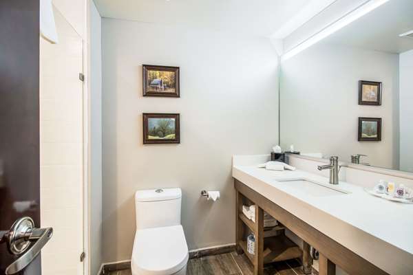 Suite - Comfort Suites Columbia