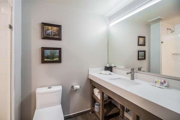 Suite - Comfort Suites Columbia