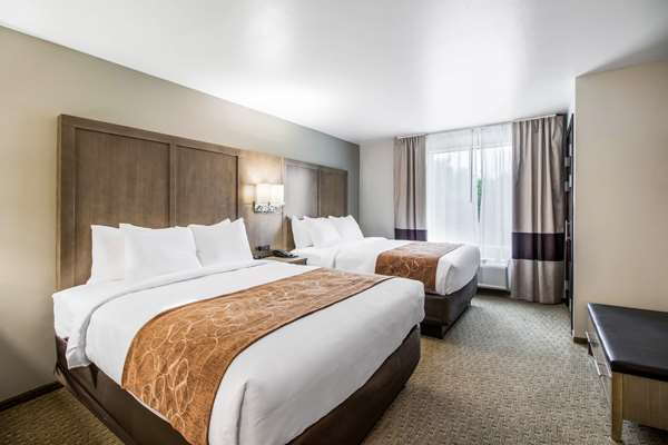 Suite - Comfort Suites Columbia