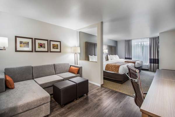 Suite - Comfort Suites Columbia