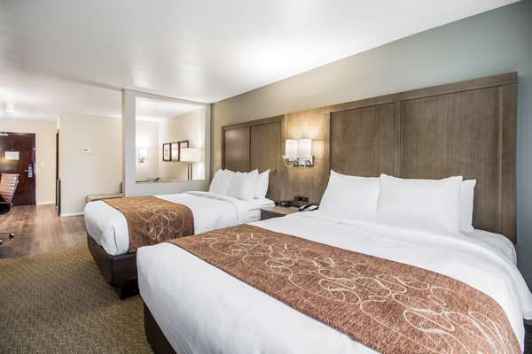 Suite - Comfort Suites Columbia