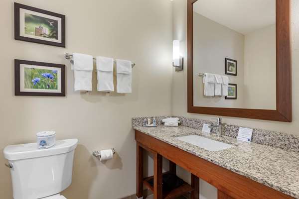  - Comfort Inn White House