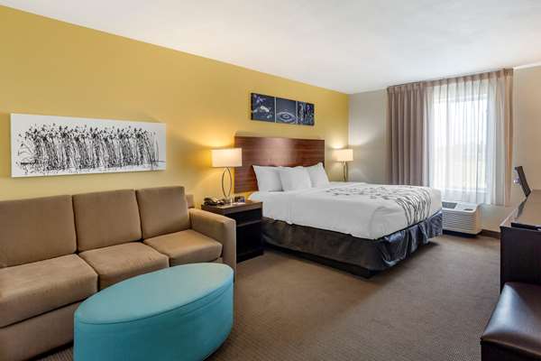 Suite - Sleep Inn & Suites Clarksville - I-24, Exit 4