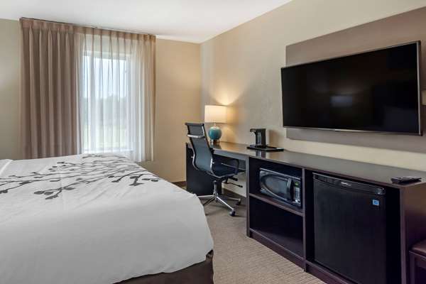 Suite - Sleep Inn & Suites Clarksville - I-24, Exit 4