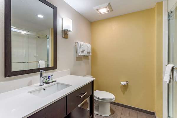 Suite - Sleep Inn & Suites Clarksville - I-24, Exit 4