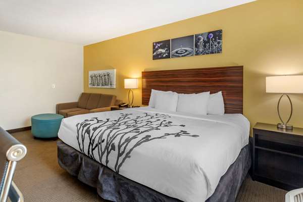 Suite - Sleep Inn & Suites Clarksville - I-24, Exit 4