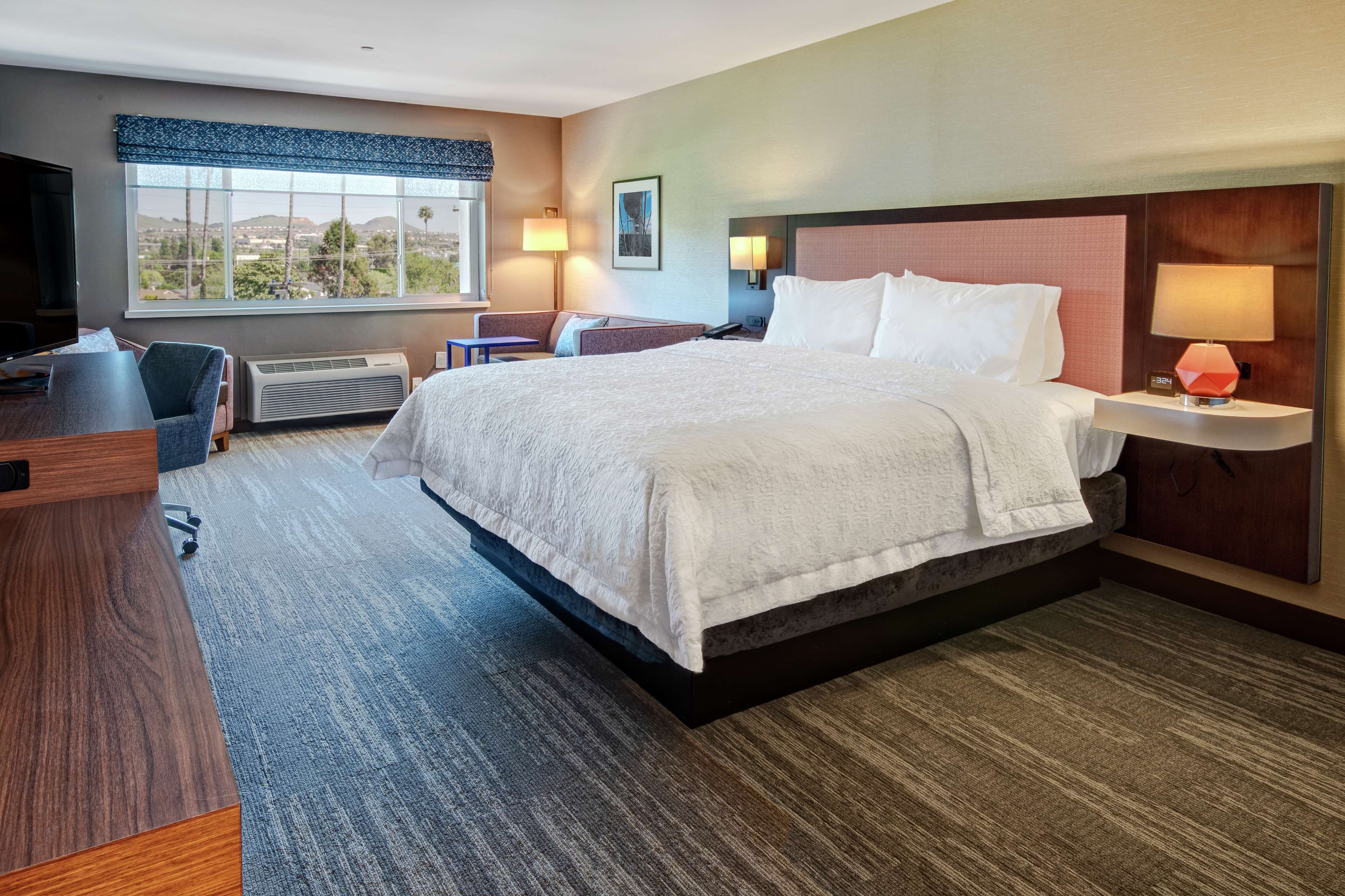 Hampton Inn by Hilton Vallejo Room Type - 1KNG MOB HEAR ACC W TUB NS
