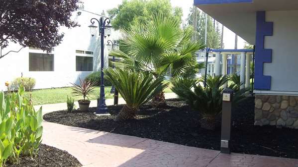 Exterior view - SureStay Plus Hotel by Best Western Sacramento