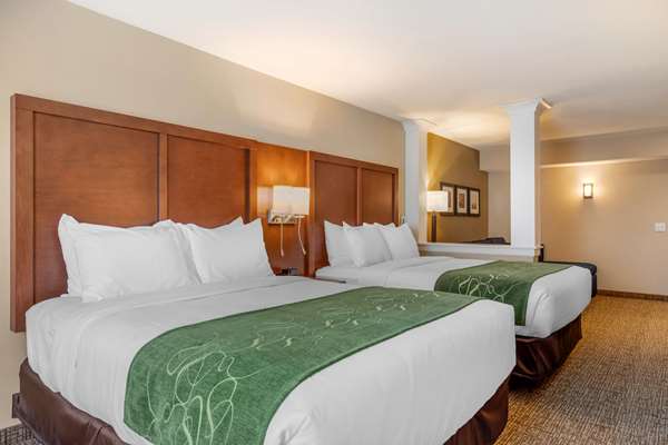  - Comfort Inn & Suites Schenectady