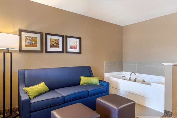  - Comfort Inn & Suites Schenectady