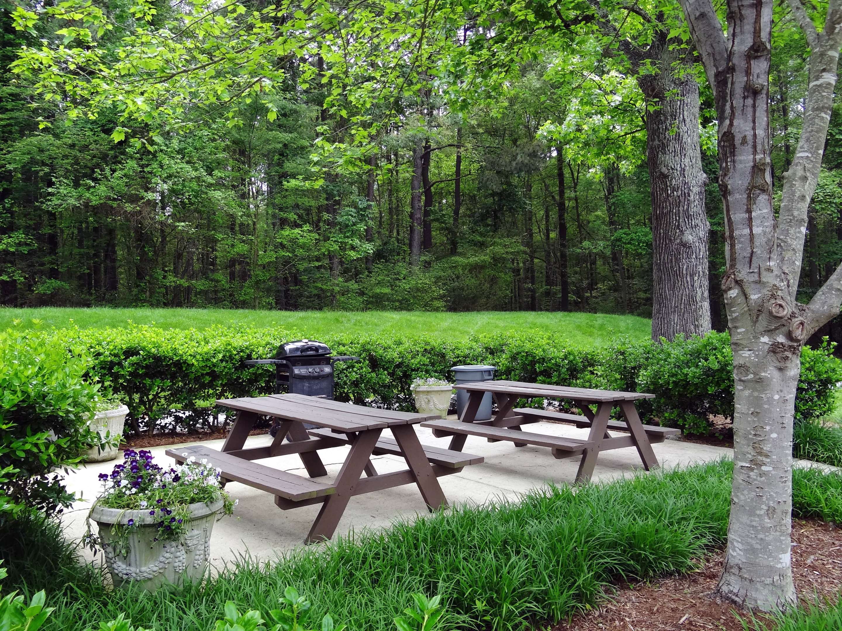 Picnic Area