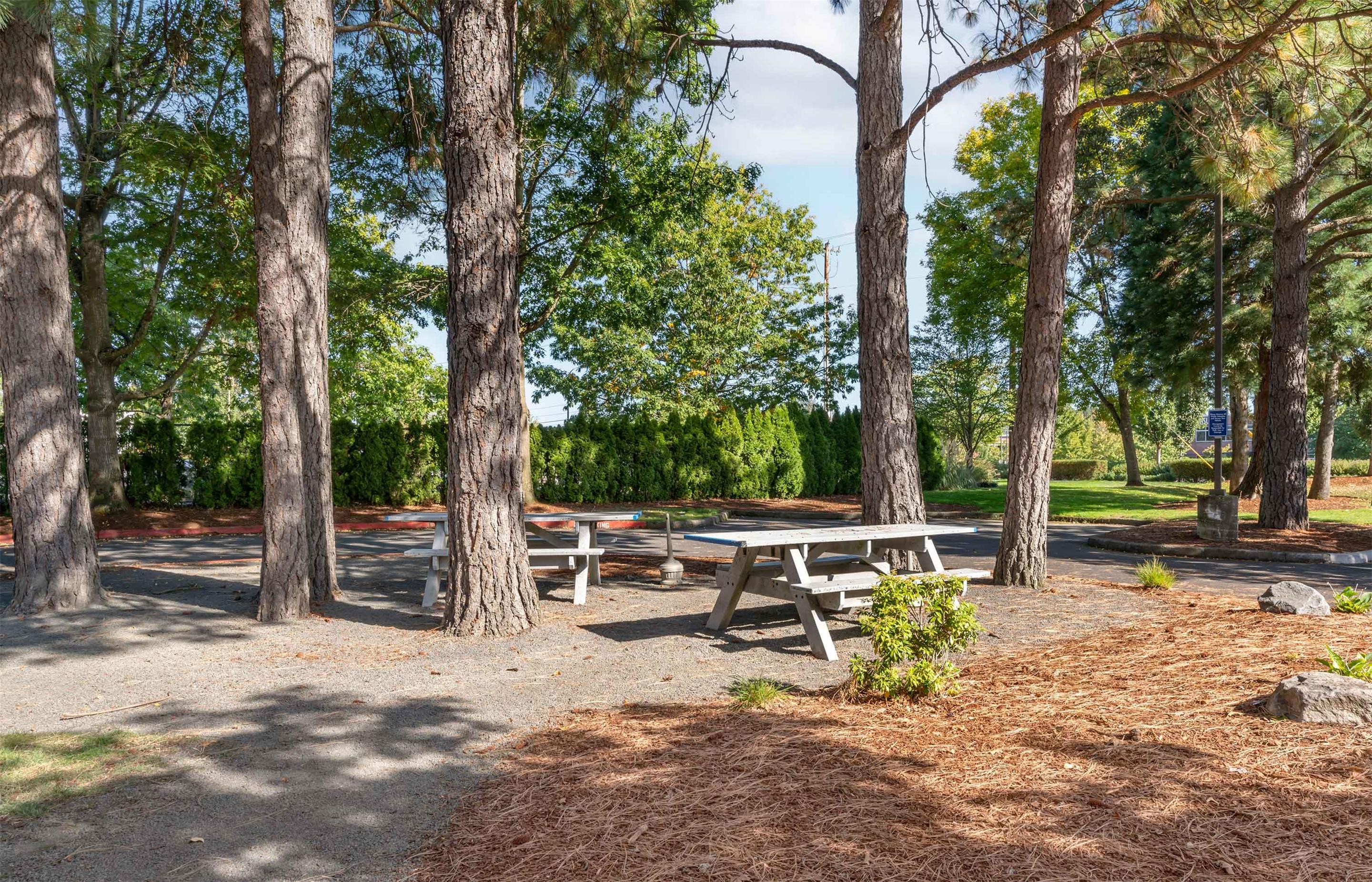 Picnic Area