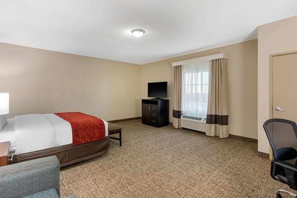 Suite - Comfort Inn & Suites Cedar Hill