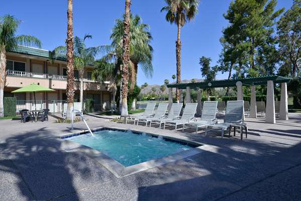 Pool - Travelodge Palm Springs