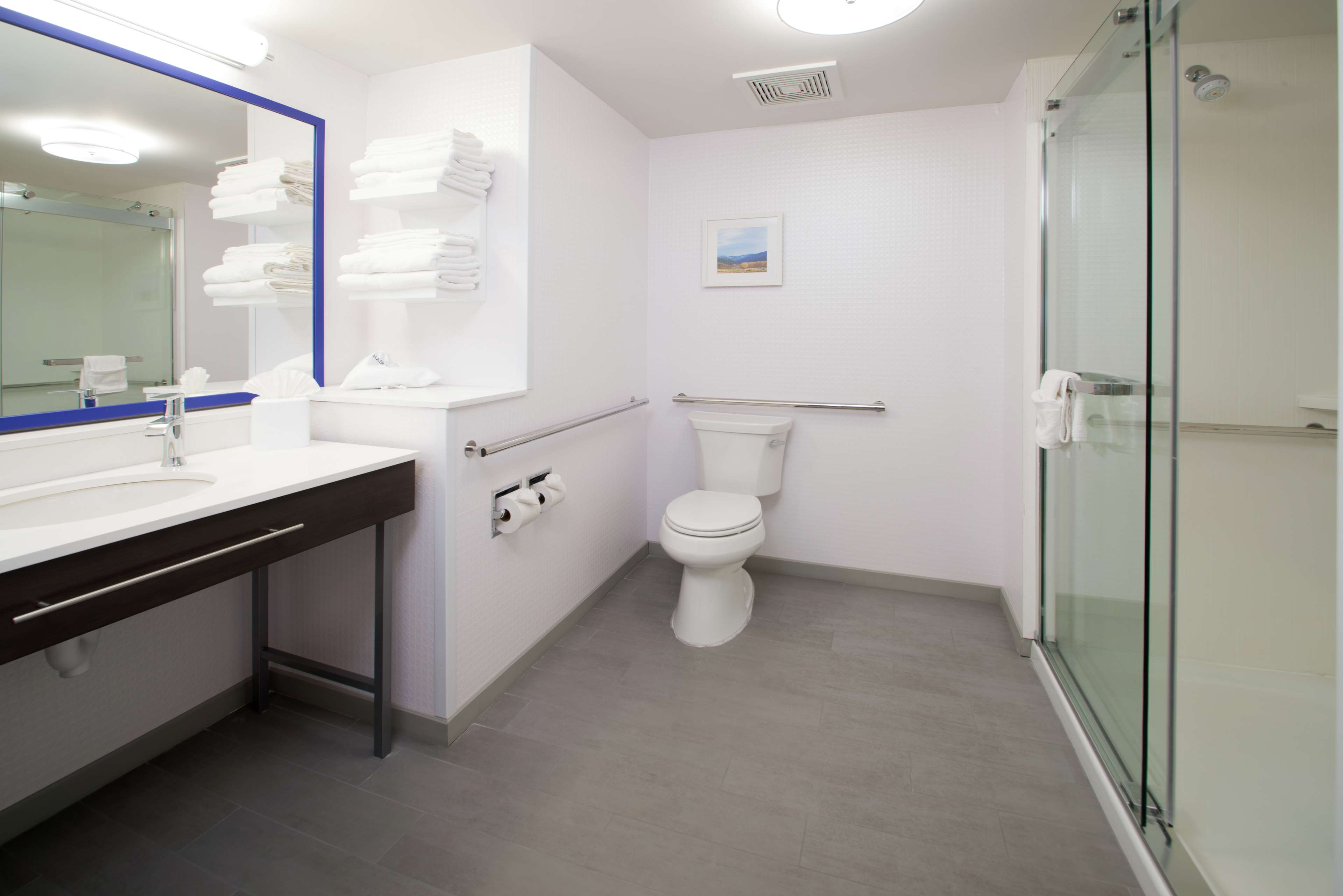 Hampton Inn Arvin Tejon Ranch, CA Room Type - 1KN MOB HEA ACC 3X3SHWR NS