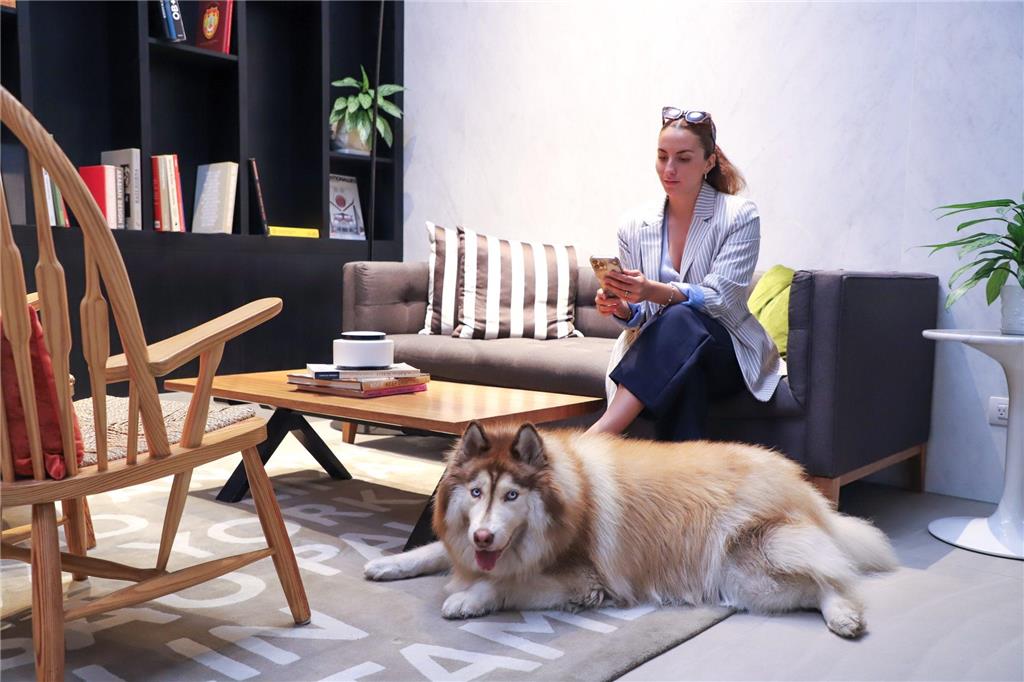 INNSIDE LIMA MIRAFLORES-guestroom-Guest Room,Guest Room Amenity,Coffee/tea facilities,Living Area,Architecture,Indoor/Interior,On-Site,People,Summer,View from room,Exterior View of Building,Animals.jpg