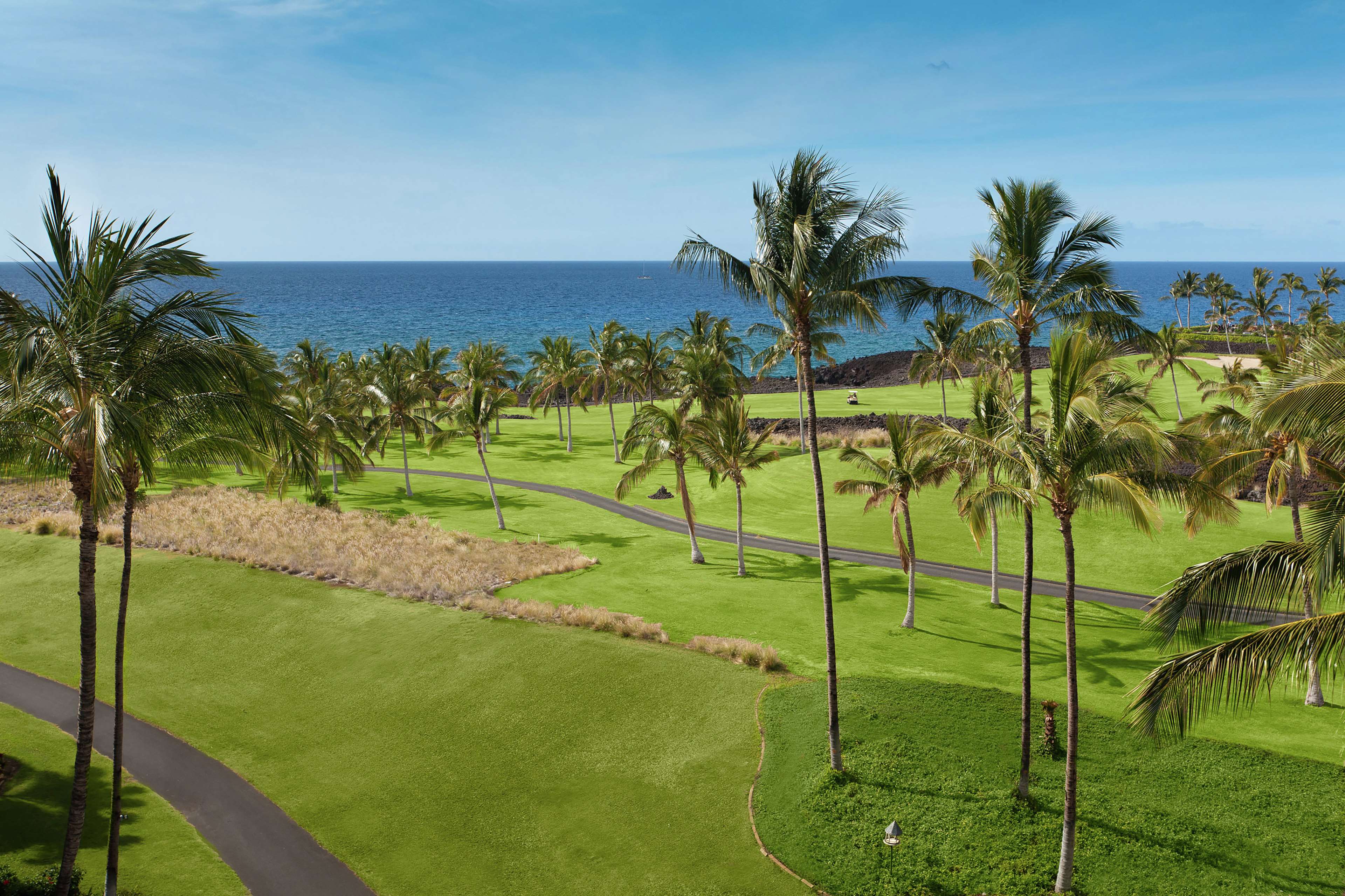 Ocean Tower by Hilton Grand Vacations Room Type - OCEAN VIEW 2 DOUBLES