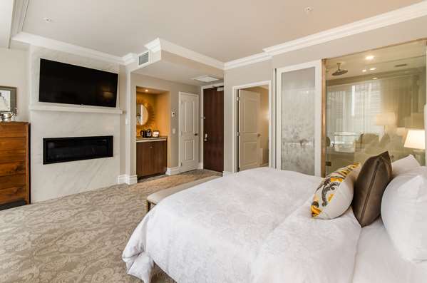  - Hotel Birks Downtown Montreal